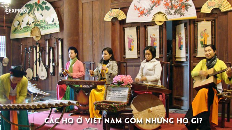 Các họ ở Việt Nam gồm những họ gì?