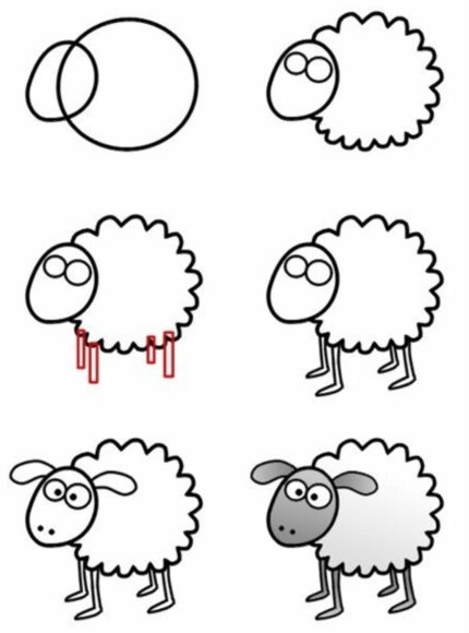 Hình vẽ cách vẽ con vật con cừu