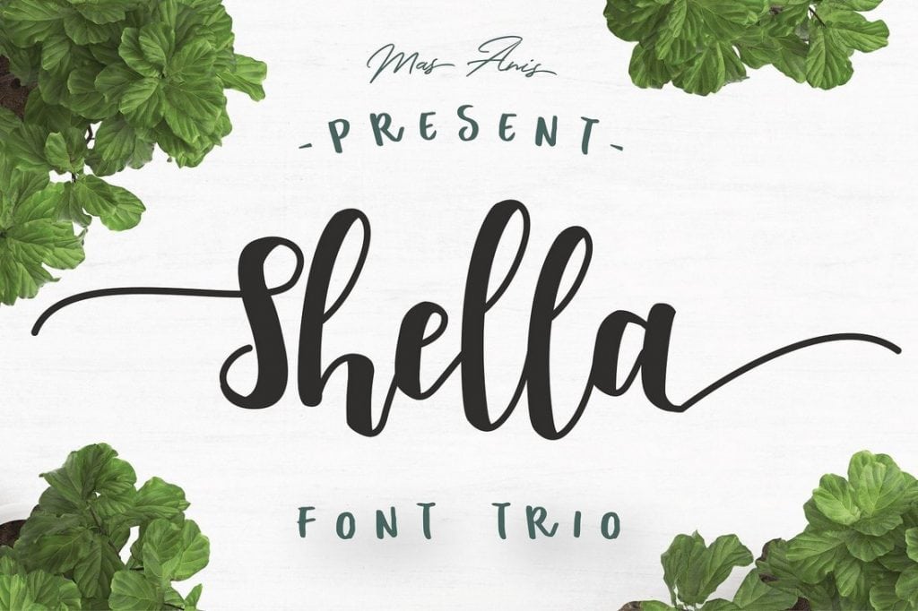 Shella-Font-Trio-1024x682