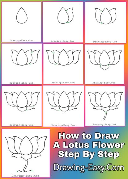 Hình vẽ cách vẽ hoa sen từ a đến z