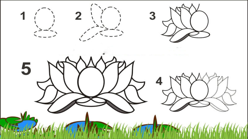 Hình vẽ cách vẽ hoa sen bài tập vẽ