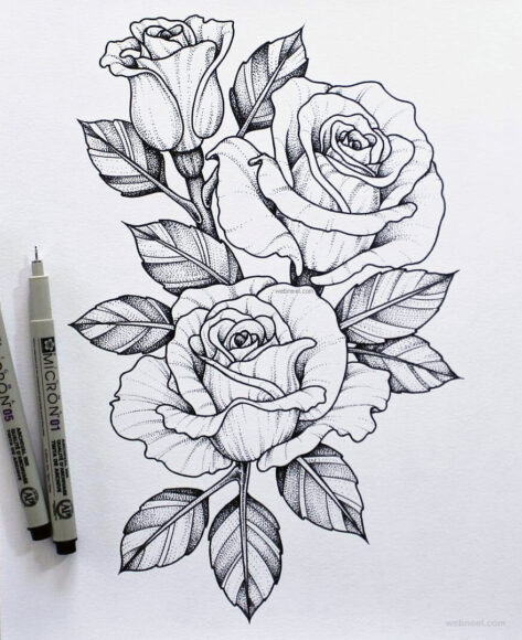 cách vẽ hoa hồng bằng bút chì