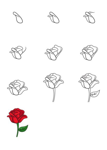 cách vẽ hoa hồng nhanh nhất