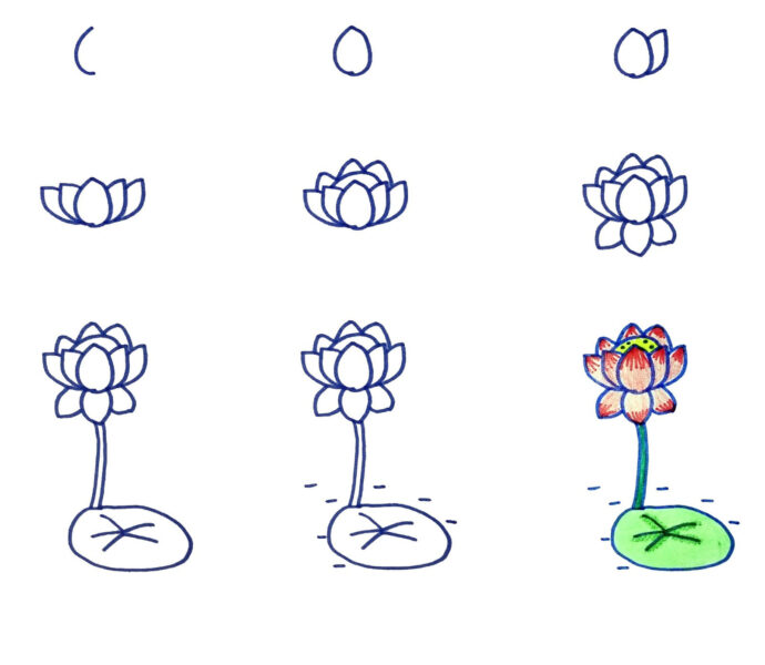 Cách vẽ hoa Sen