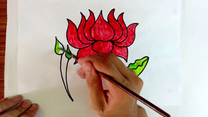 Cách vẽ hoa Sen đơn giản nhất