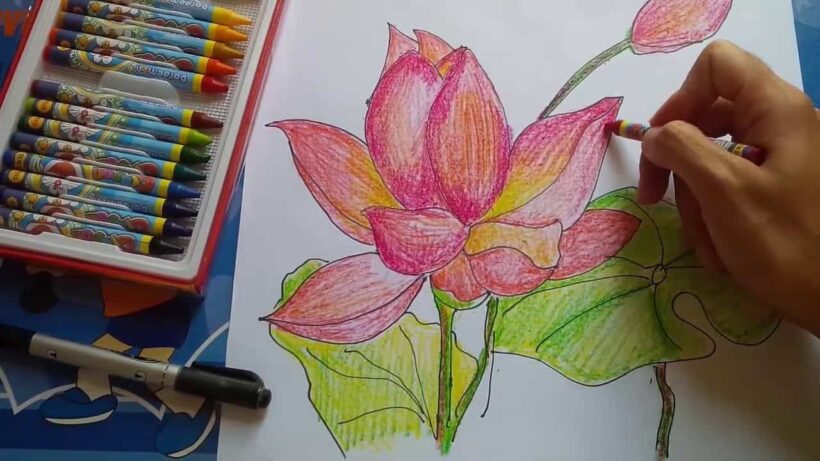 Cách vẽ hoa Sen bằng sáp màu