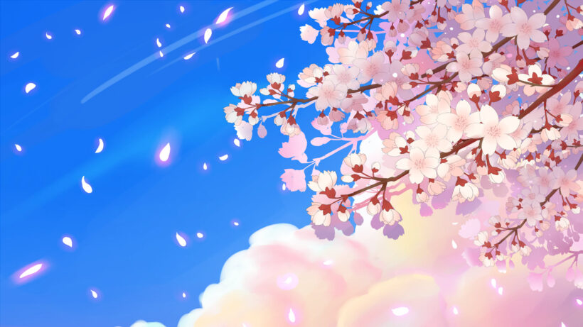 Ảnh hoa Anh Đào anime làm hình nền