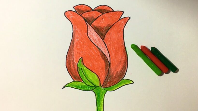 Cách vẽ hoa Hồng bằng sáp màu