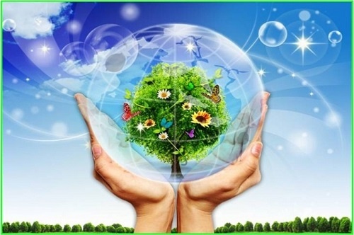 Đề bài: Theo anh chị, làm thế nào để môi trường sống của chúng ta ngày càng xanh-sạch-đẹp