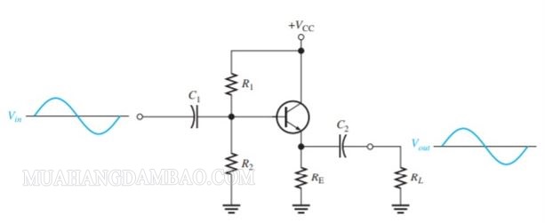 Cách mắc transistor kiểu C chung