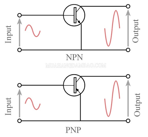 Cách mắc transistor kiểu E chung