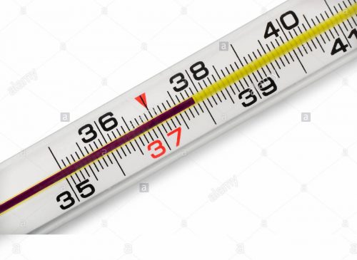 thuỷ ngân đo nhiệt độ cơ thể người