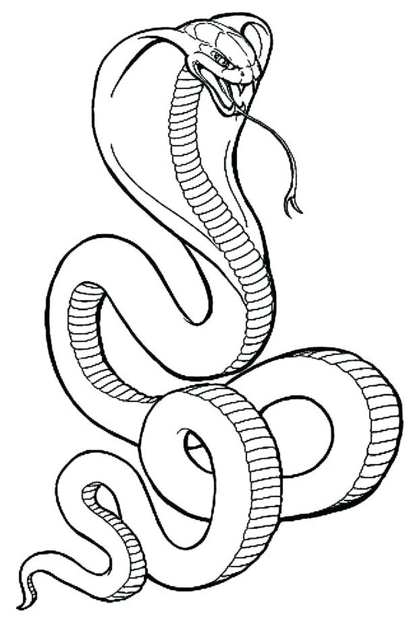 Tranh tô màu con rắn hổ mang