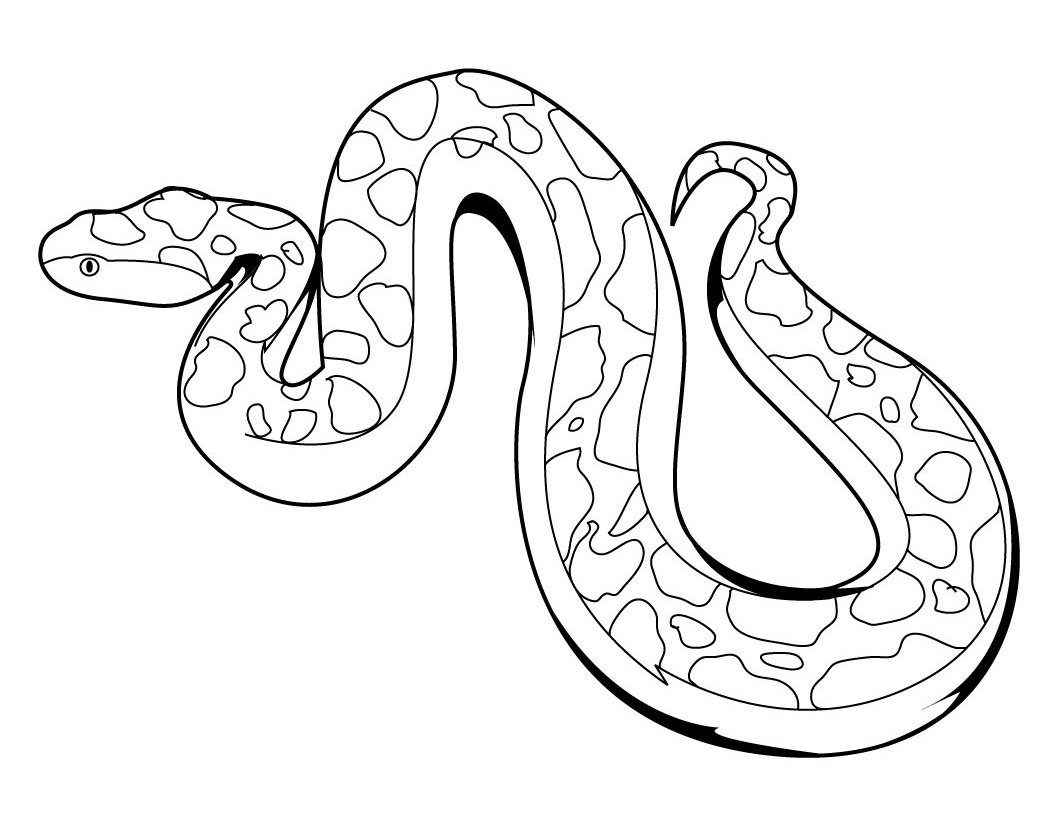 Tranh tô màu con rắn đẹp nhất