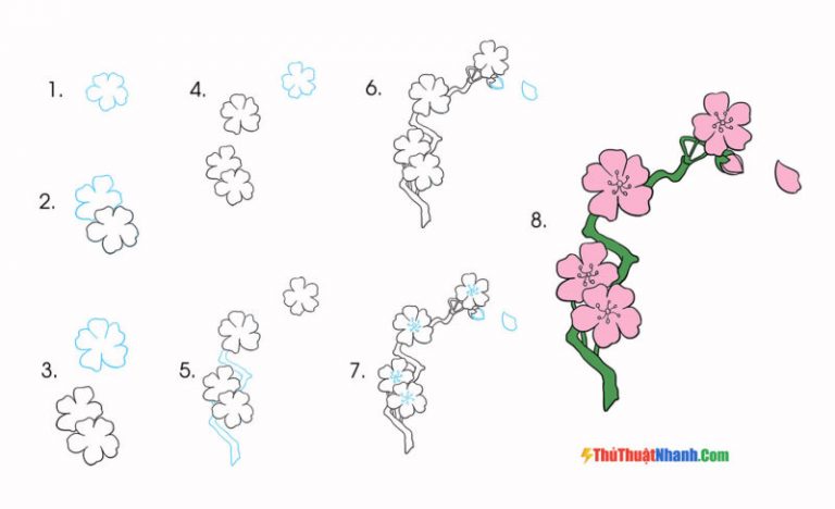 17+ Hình vẽ cách vẽ hoa anh đào đẹp, đơn giản chi tiết nhất
