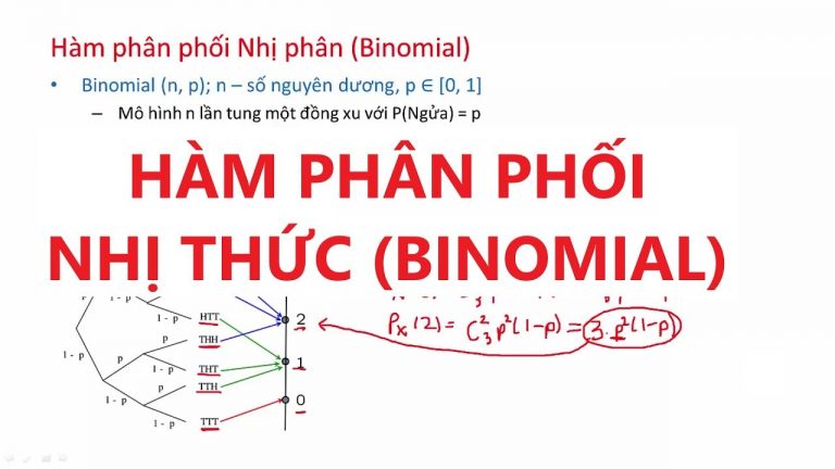 Binomial Distribution Là Gì? Chi Tiết Bài Học Phân Phối Nhị Thức Âm