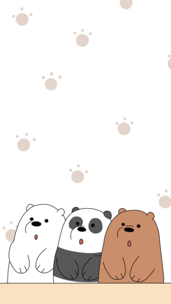 hình nền gấu cute 3 màu