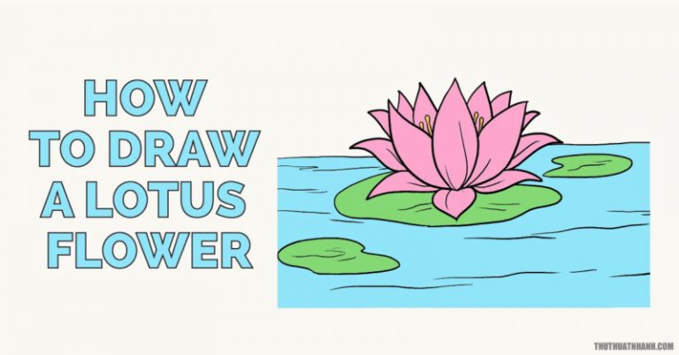 Hướng dẫn cách vẽ hoa sen cực đẹp, đơn giản dễ hiểu nhất
