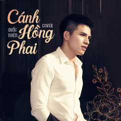 Lời bài hát Cánh Hồng Phai (Cover) – Quốc Thiên