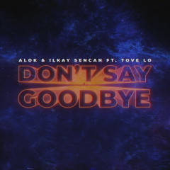 Lời bài hát Don’t Say Goodbye – Alok, Ilkay Sencan, Tove Lo