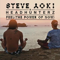Feel (The Power Of Now) - Steve Aoki, Headhunterz