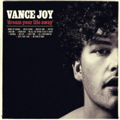Lời bài hát Mess Is Mine – Vance Joy