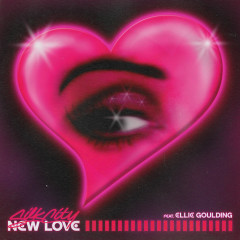 New Love - Nhiều nghệ sĩ
