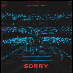 Lời bài hát Sorry – Alan Walker, ISÁK