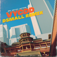 Vì Yêu Cứ Đâm Đầu (DJ DSmall Remix) - DJ DSmall