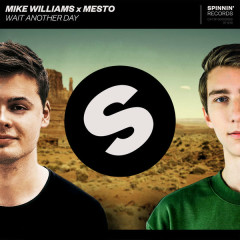 Wait Another Day - Mike Williams, Mesto