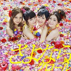 Lời bài hát バラの果実 (Bara No Kajitsu) – AKB48