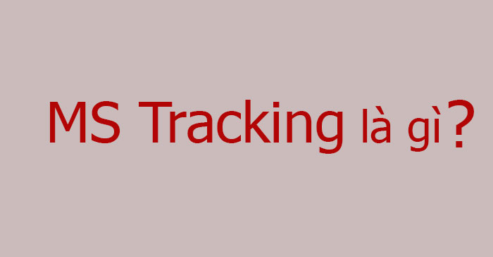 MS Tracking là gì? ms tracking có thật không?