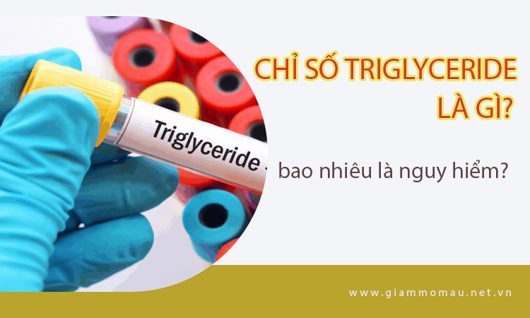 Triglycerid Là Gì? Tìm Hiểu Chỉ Số, Định Lượng Triglycerid Là Gì ?