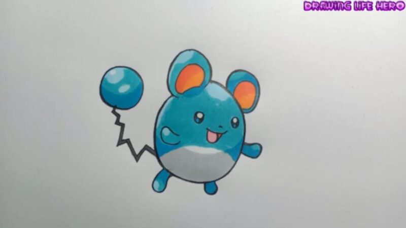 vẽ tranh hình vẽ Pokemon Maril chuột xanh đáng yêu