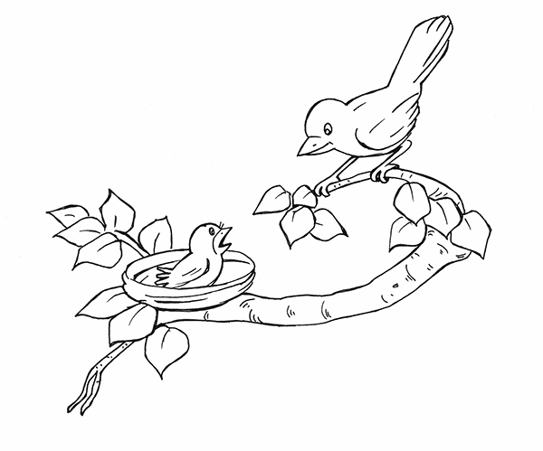 tranh chim mẹ và chim non