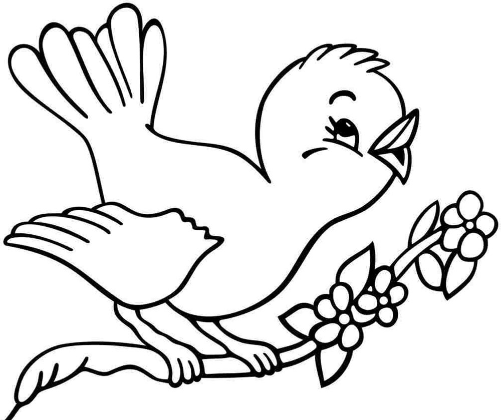 tranh vẽ đen trắng về con chim đang hót