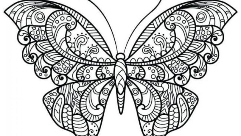 Tranh tô màu con bướm xinh dành cho bé gái 7 tuổi tập tô