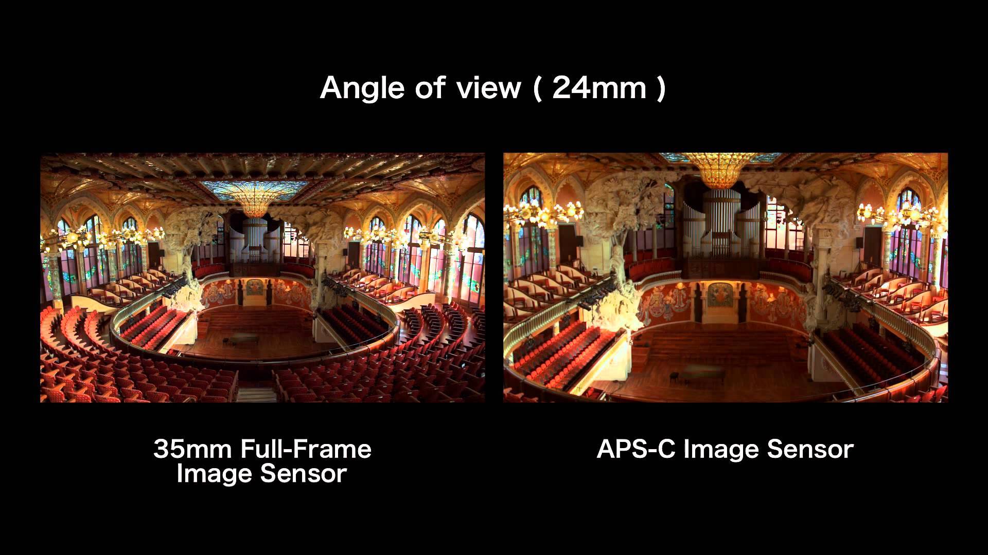 Tại sao máy ảnh cảm biến Full Frame CMOS được ưa chuộng?