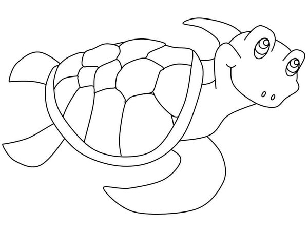 Tranh tô màu con rùa biển