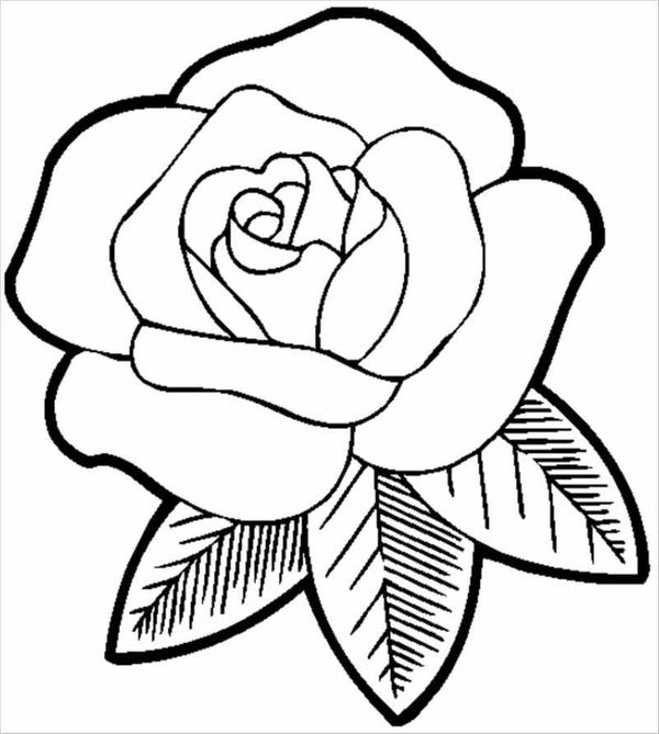 Tranh tô màu bông hoa đơn giản cho bé: Hình hoa hồng