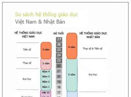 sơ đồ so sánh hệ thống giáo dục Việt Nam và Nhật bản