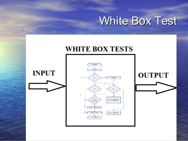White Box Testing Là Gì?