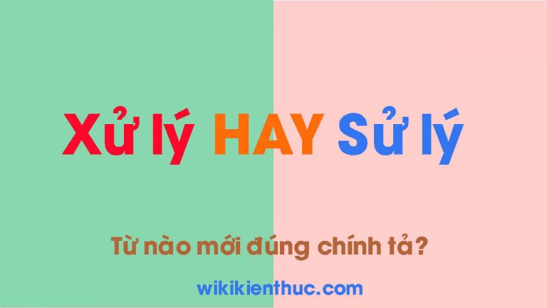 XỬ LÝ hay SỬ LÝ từ nào mới đúng chính tả Tiếng Việt