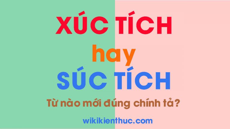 XÚC TÍCH hay SÚC TÍCH? Từ nào mới đúng chính tả Tiếng Việt